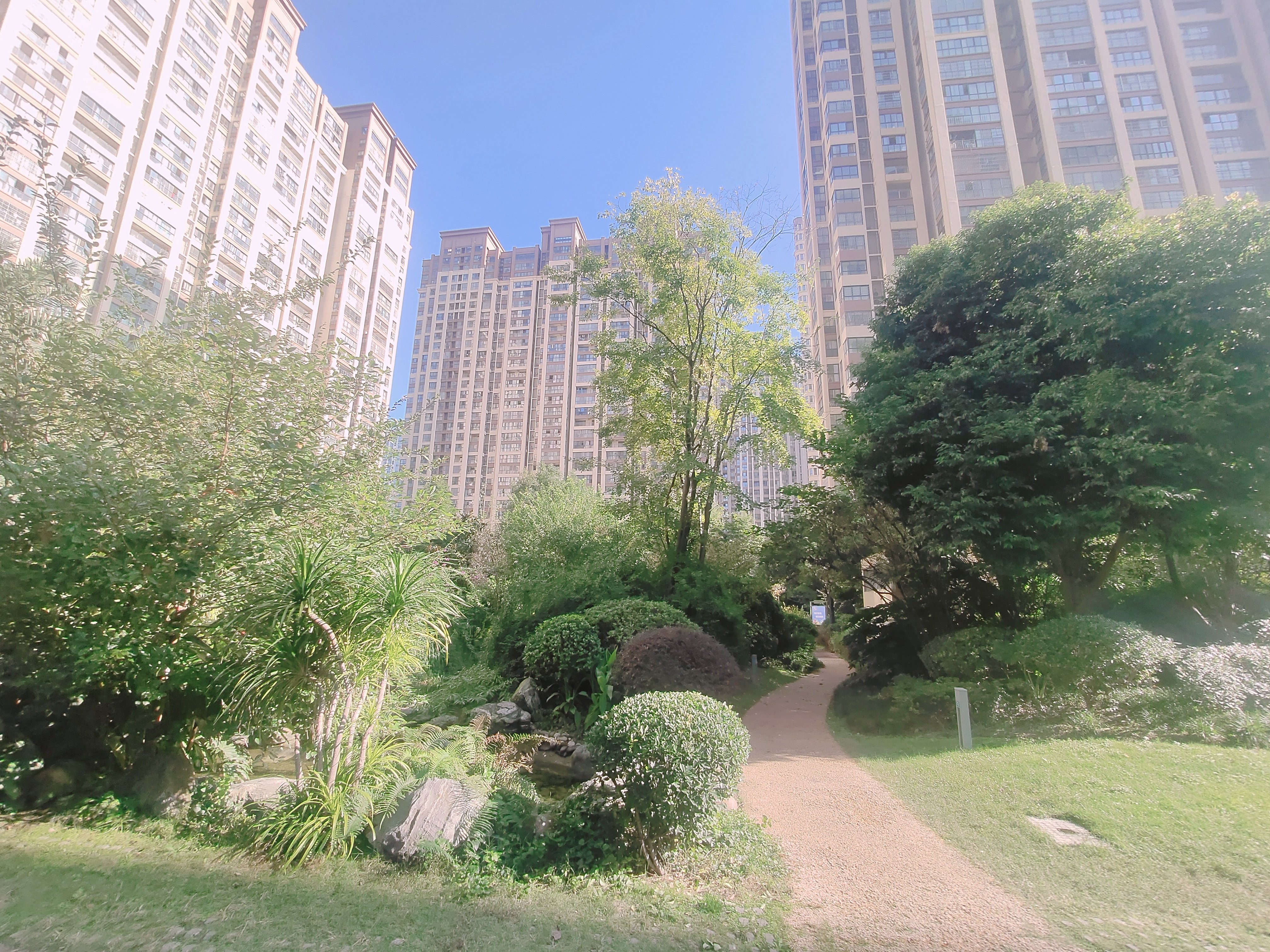 绵阳塘汛片区 万达华府两房1600元/月 绵阳二手房