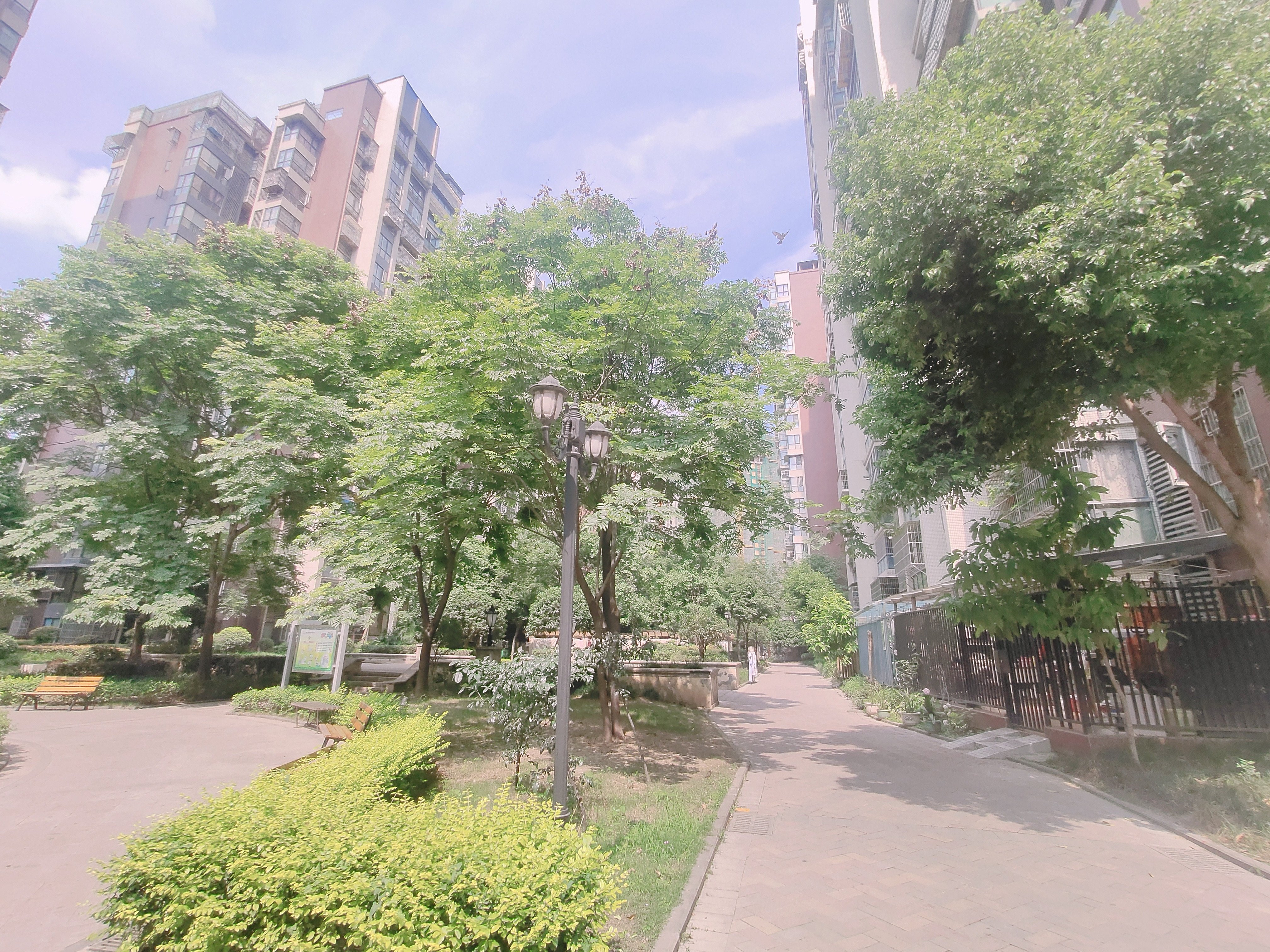 绵阳高新区普明片区恒业塞纳阳光1房53平米1200元/月 绵阳租房