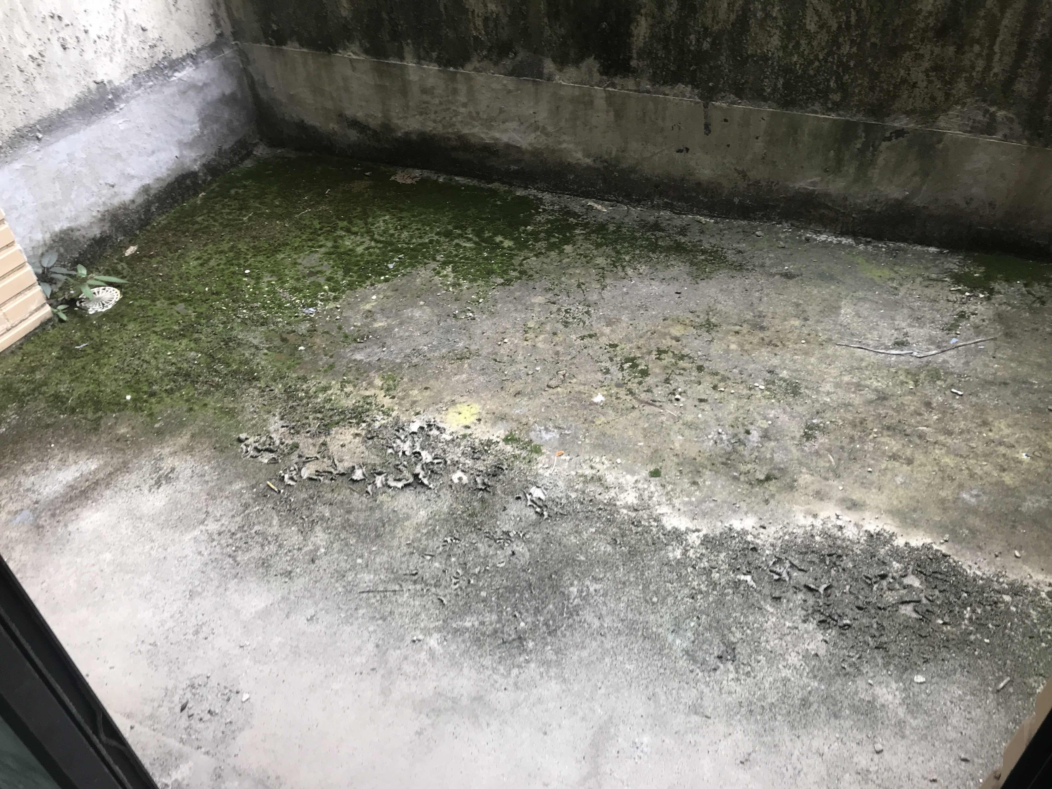 绵阳安州区 普罗旺斯4房320万 绵阳二手房