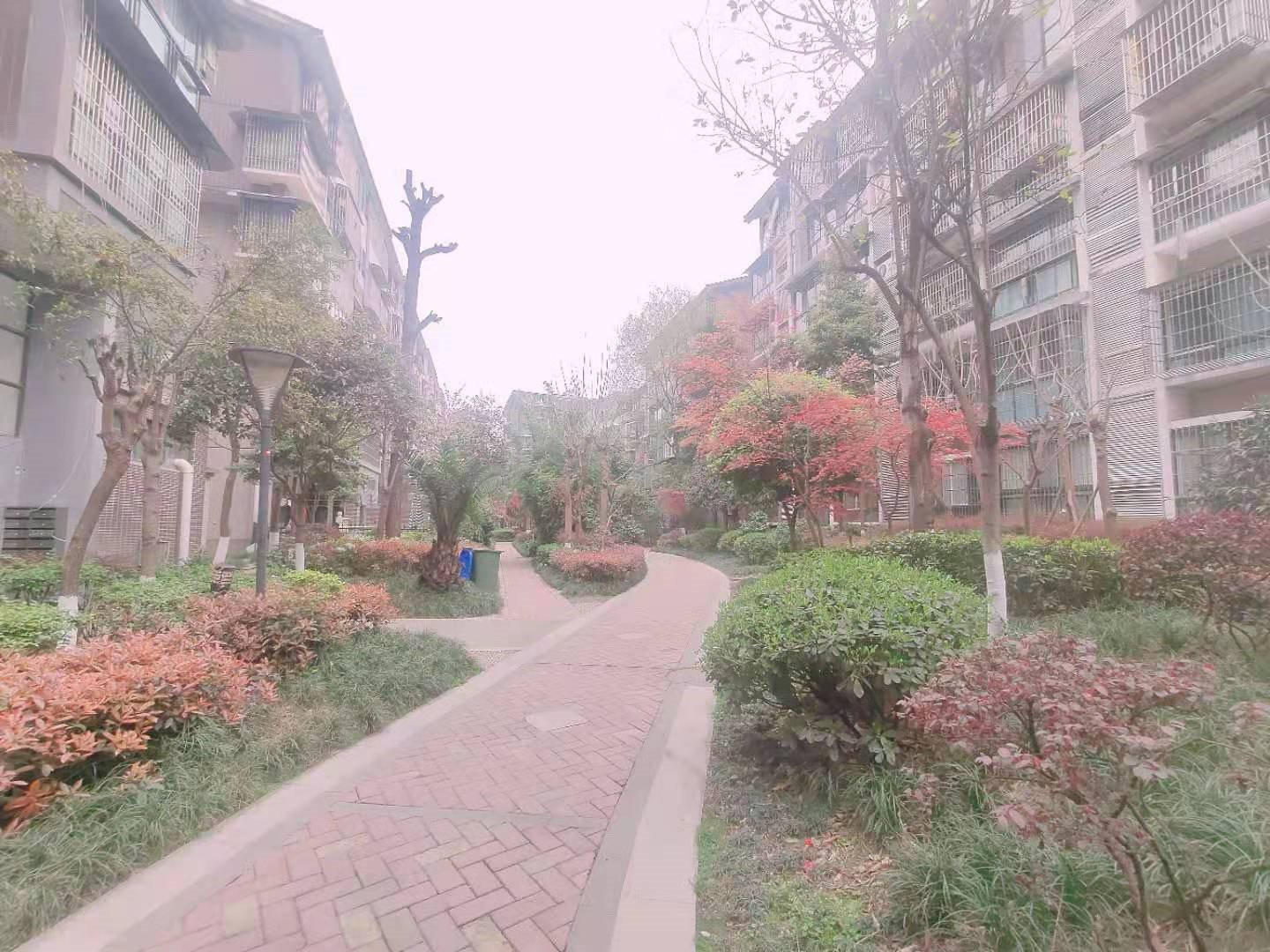 绵阳双碑片区 枫璟398  B区三房56万单价便宜 绵阳二手房