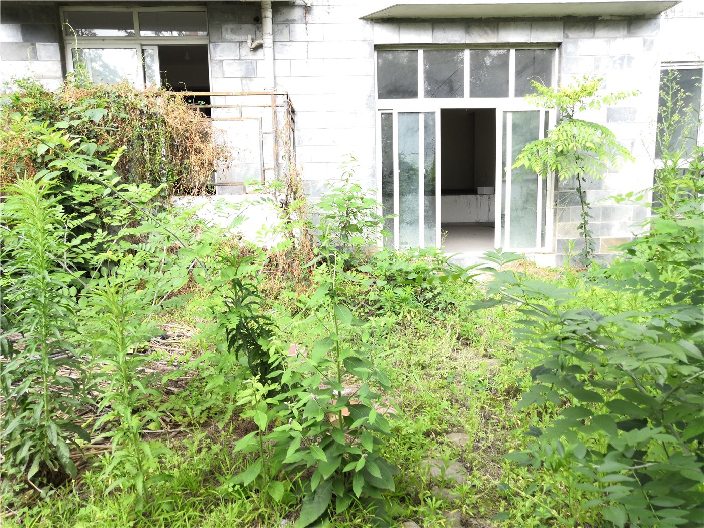绵阳南山片区 东圣清华园四房126万 绵阳二手房