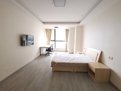 万达SOHO，1室1厅1卫，50.00㎡，精装，租金1000.00元/月