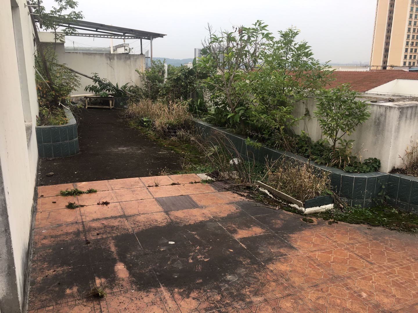 绵阳安州区瑞丰苑5房60万 绵阳二手房