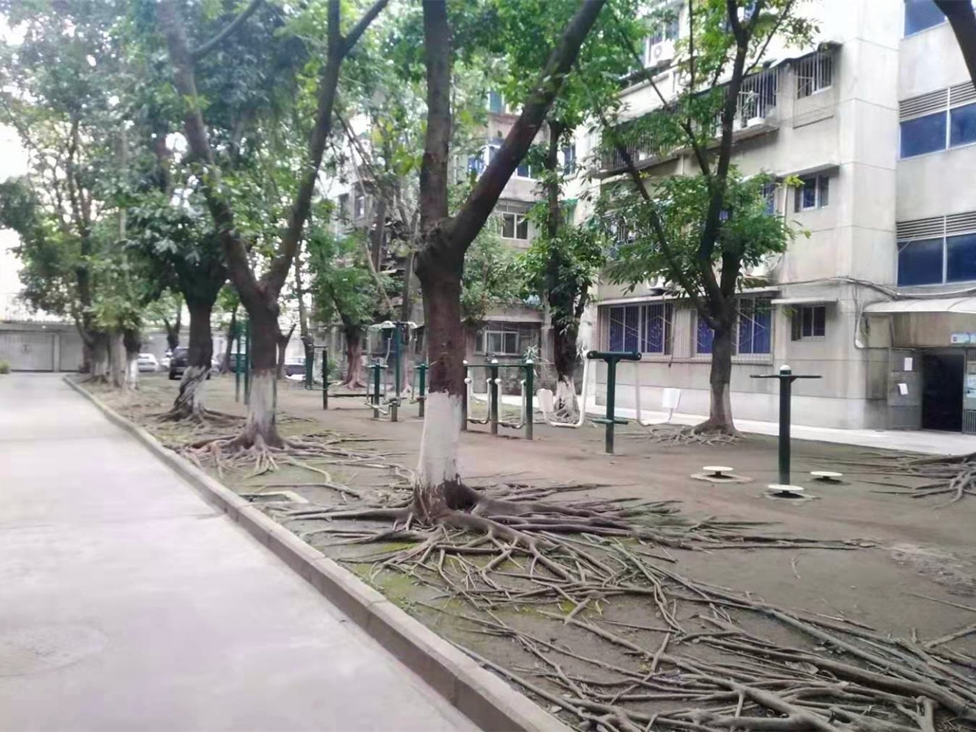绵阳涪城区 建设街8号2房1200元/月 绵阳租房