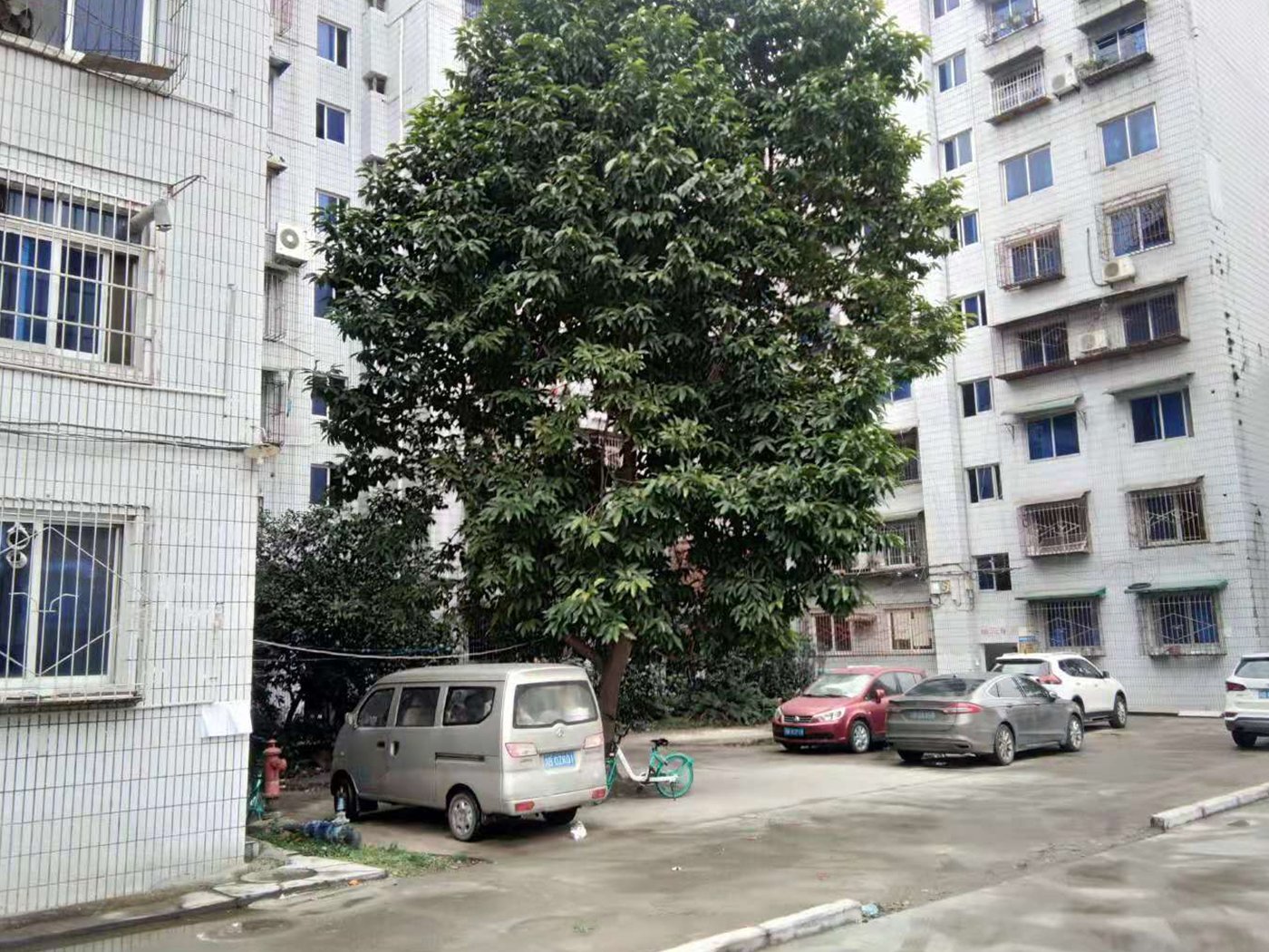 绵阳涪城区 七中单位房2房1000元/月 绵阳租房