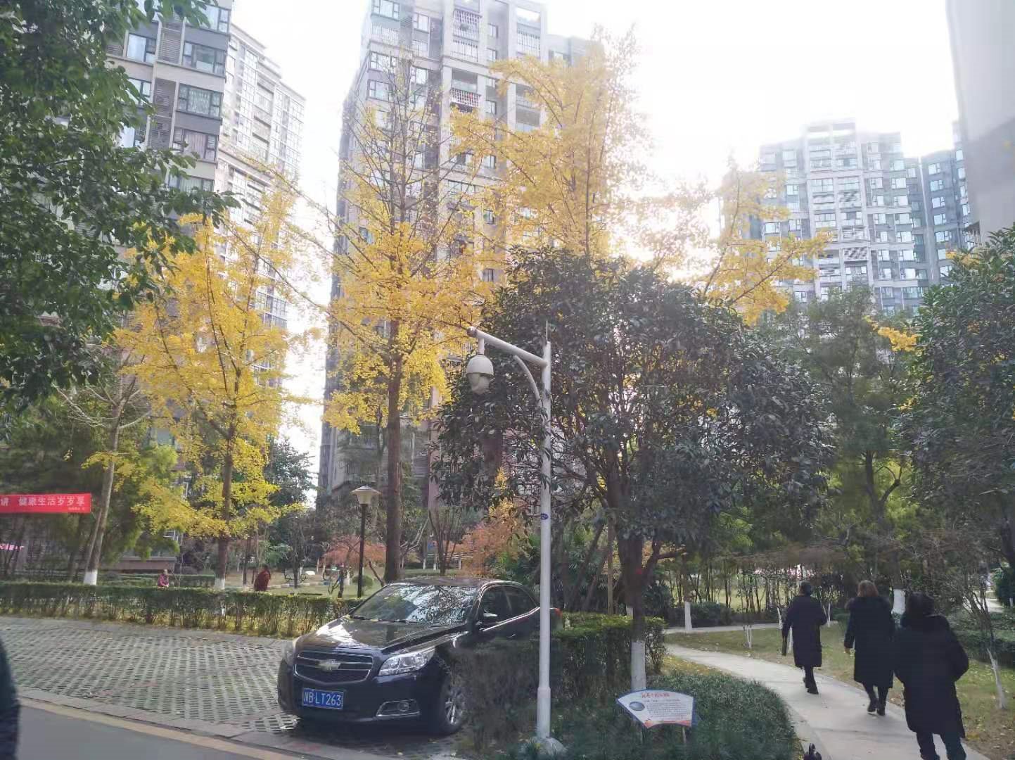 绵阳双碑片区 枫璟398 A区两房79万 绵阳二手房
