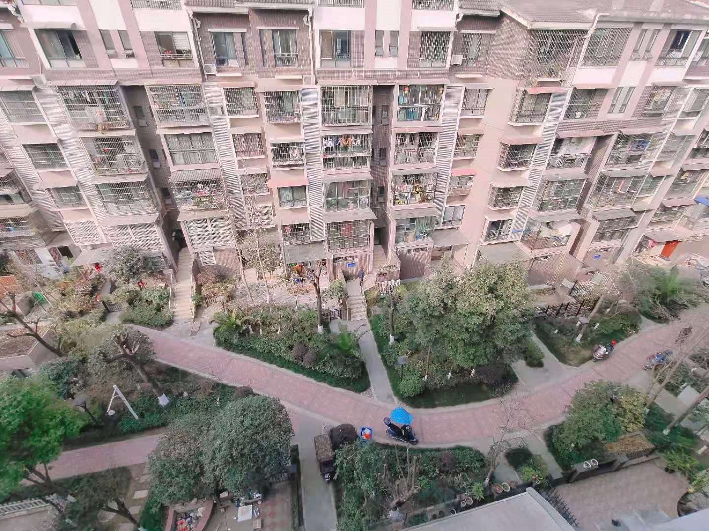 绵阳1000.00元/月枫璟398  B区3室好房 绵阳租房