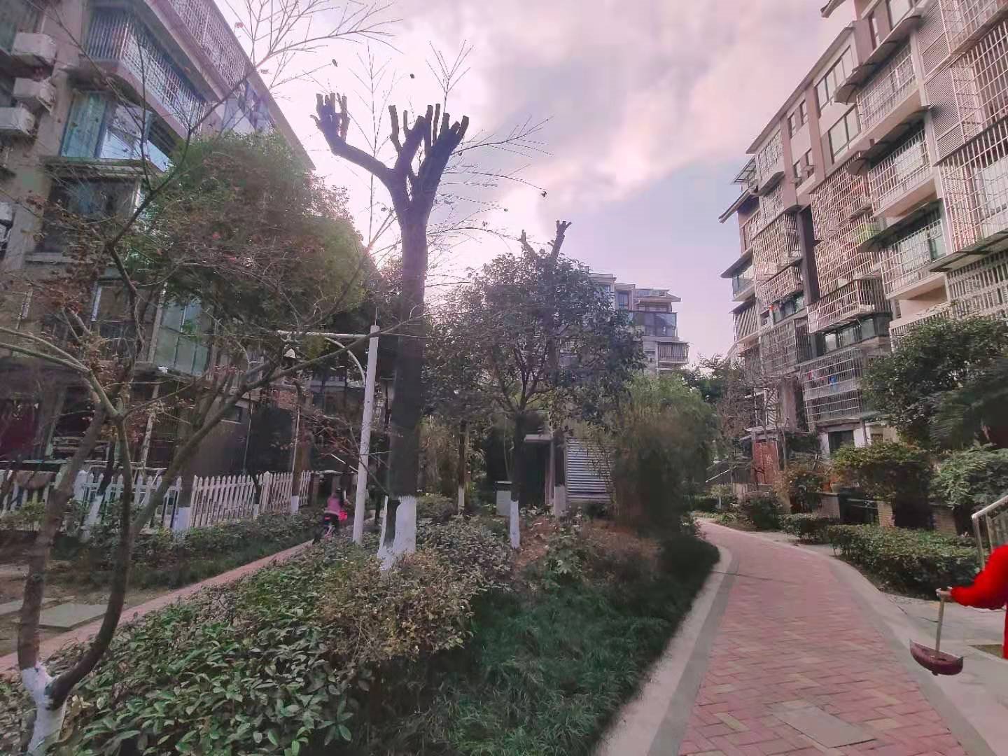 绵阳1000.00元/月枫璟398  B区3室好房 绵阳租房