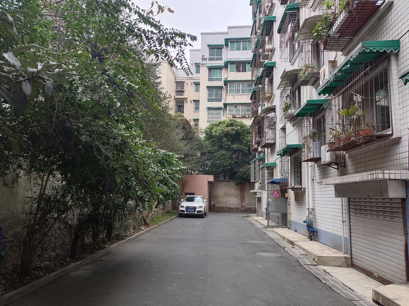 绵阳市中心片区 紫荆园小区三房79.8万 绵阳二手房