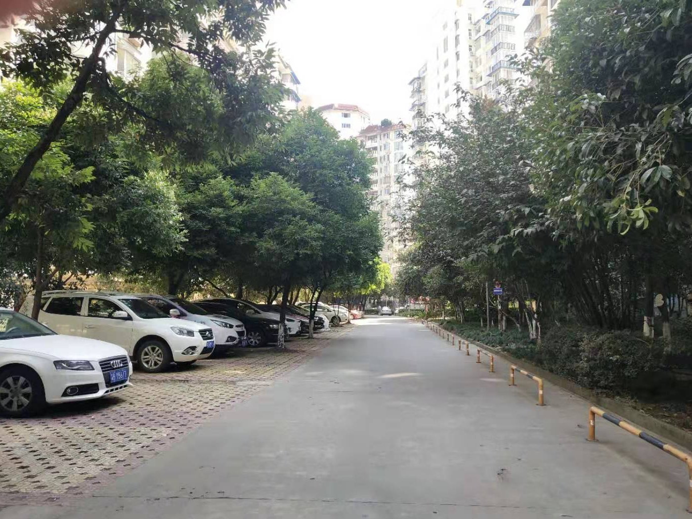 绵阳涪城区 丽景花城3房92万 绵阳二手房
