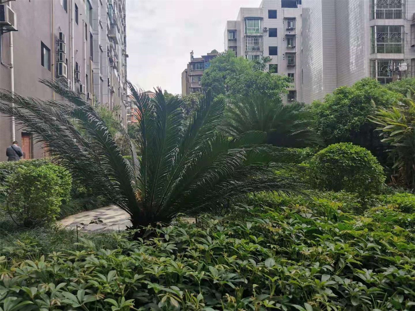 绵阳南河坝片区 金佳城南名著两房104万 绵阳二手房
