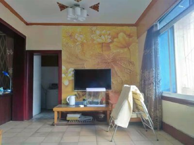 南河坝片区 南河路10号院三房72万