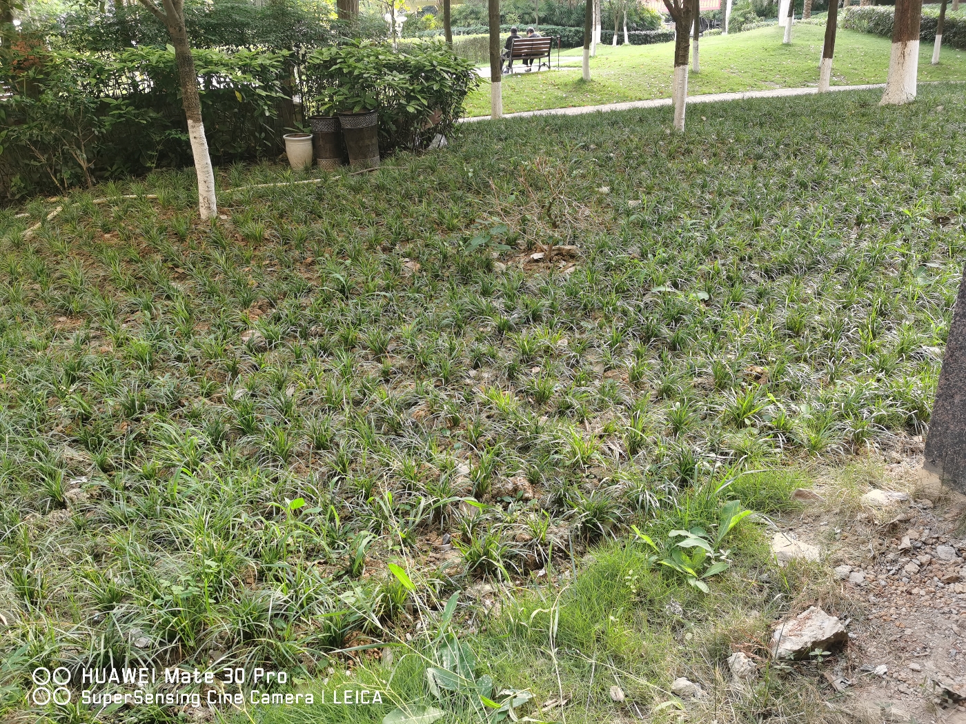 绵阳树高卡地亚A区四房168万带花园带下跃 绵阳二手房