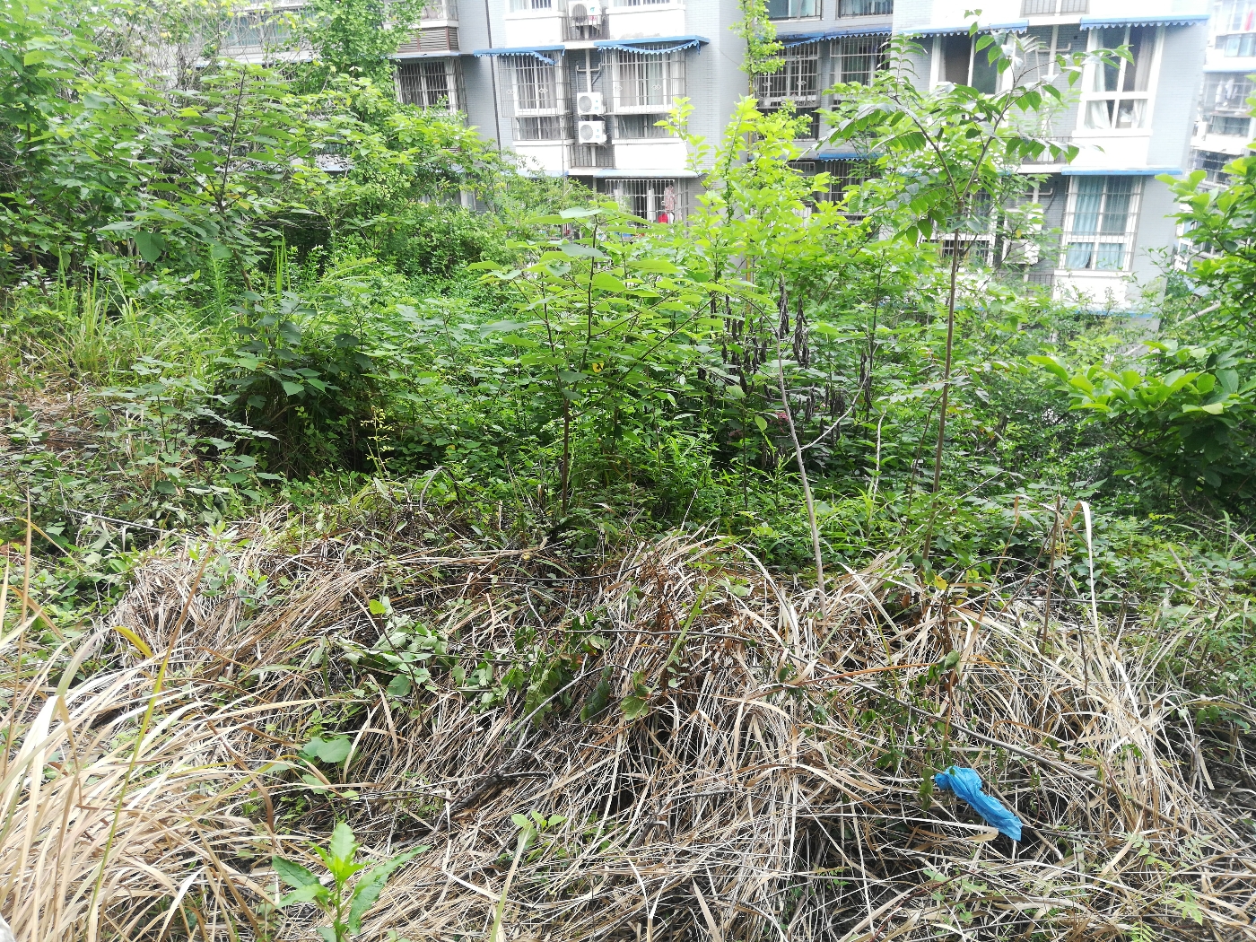 绵阳涪城区 科大美林3房82万 绵阳二手房