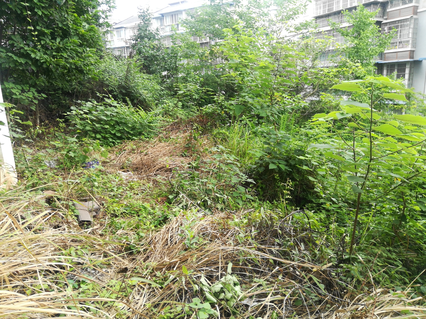 绵阳涪城区 科大美林3房82万 绵阳二手房