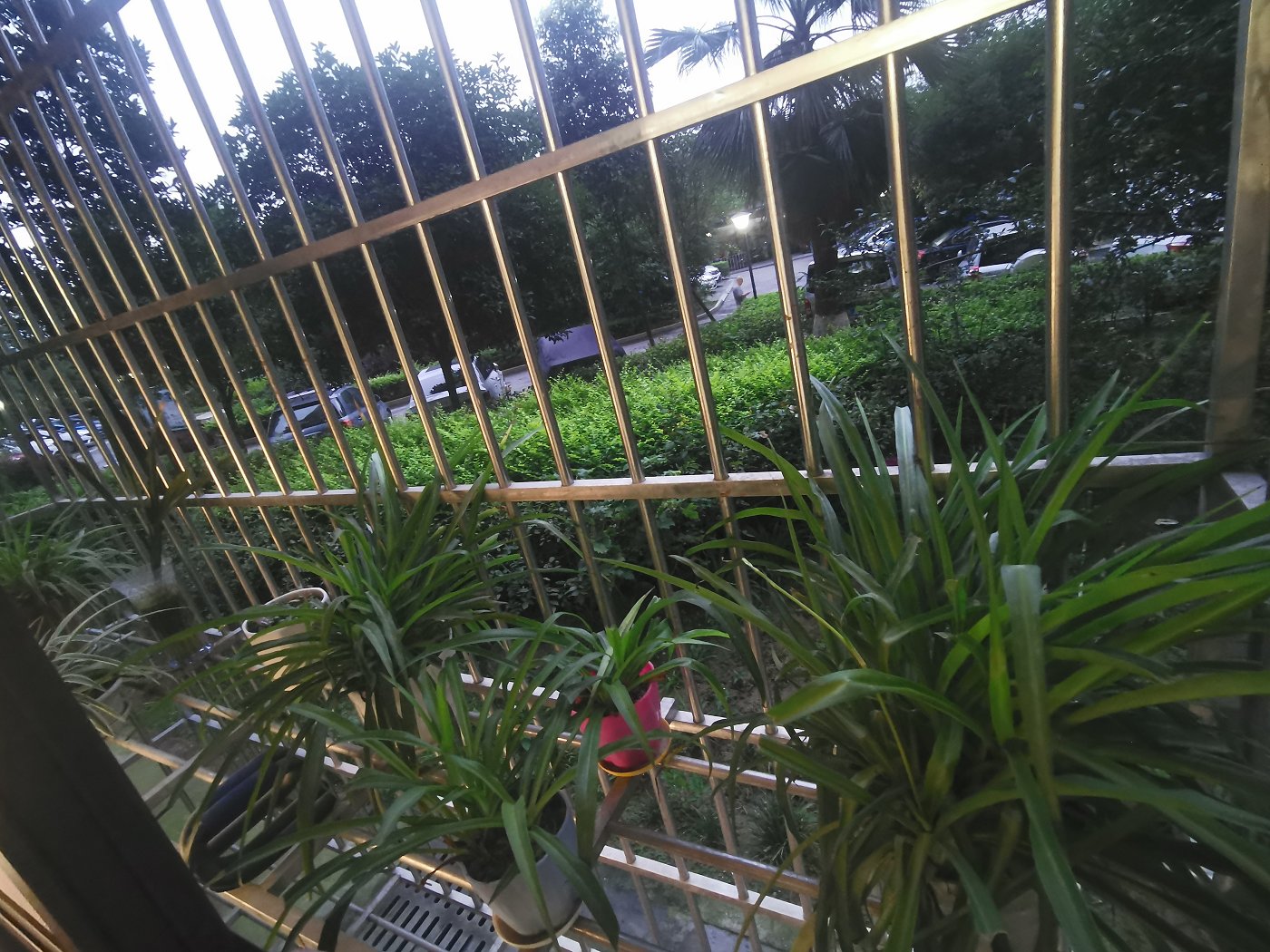 绵阳高水片区 渝阳圣水明珠三房98万 绵阳二手房