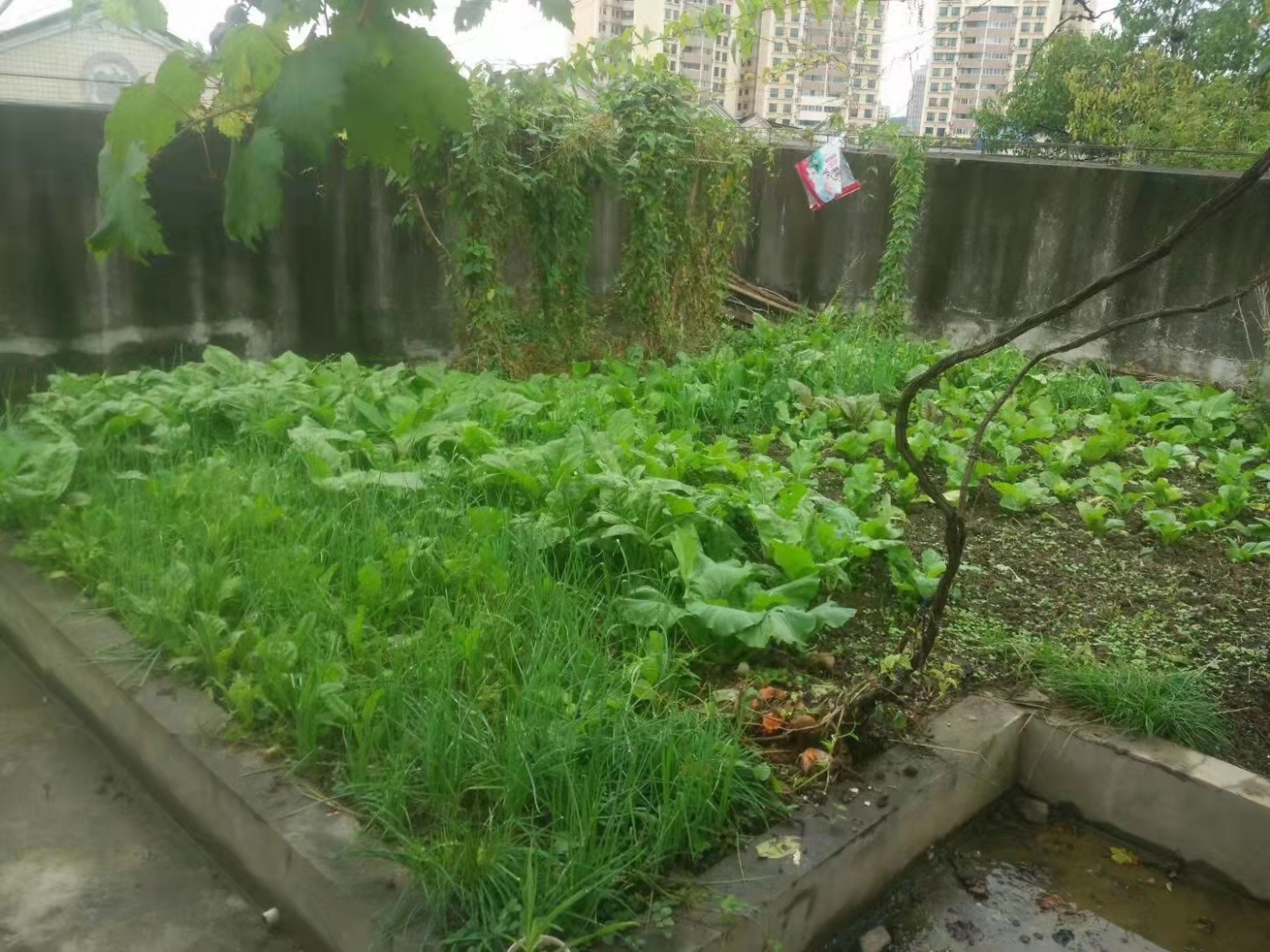 绵阳安州一区 广厦景园B区三房46万 绵阳二手房