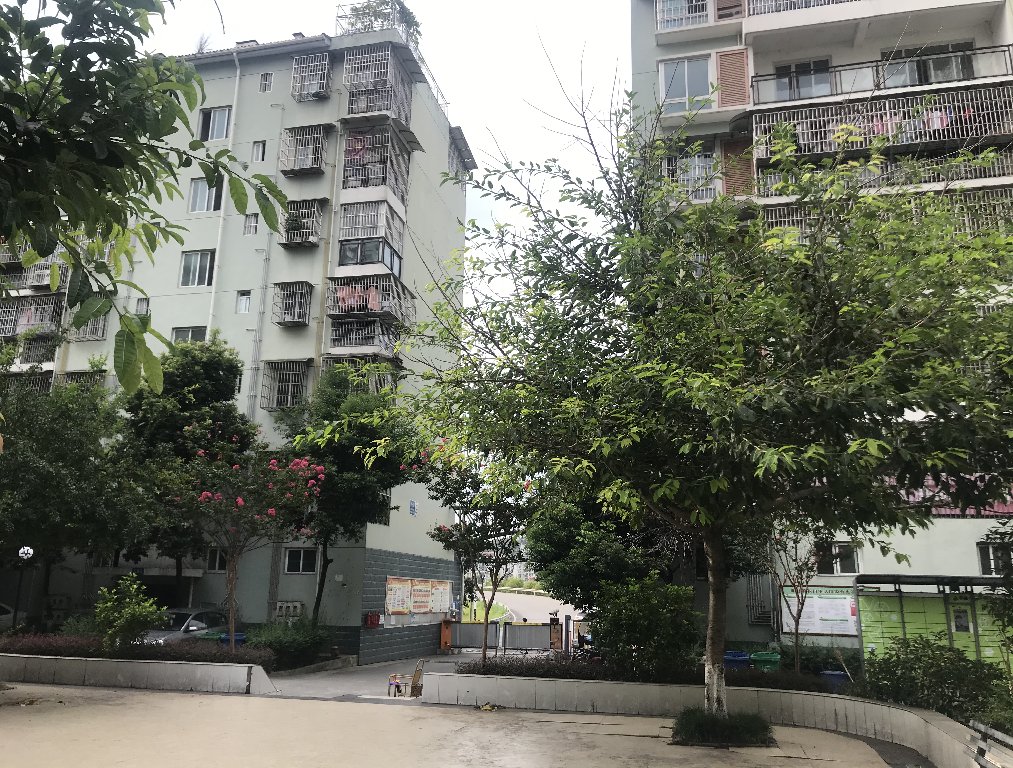 绵阳丰谷镇老税务所，2室2厅1卫，72.00㎡，简装，售价22.00万 绵阳二手房