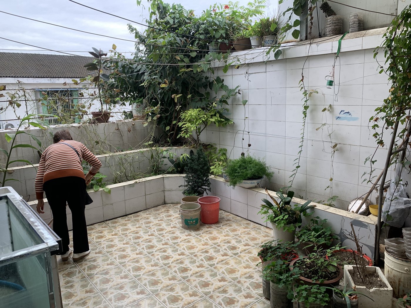 绵阳安州一区 龙康花园A区三房47万 绵阳二手房