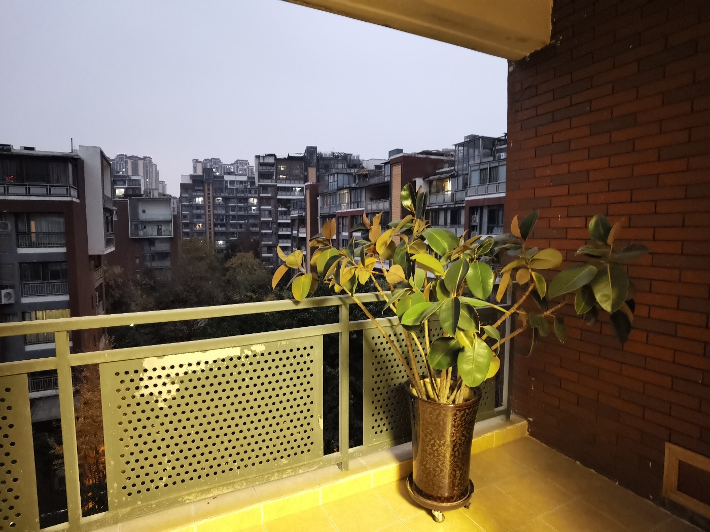 绵阳园艺山.电梯洋房.精装三室.一提两户.南北通透户型.看中庭. 绵阳二手房