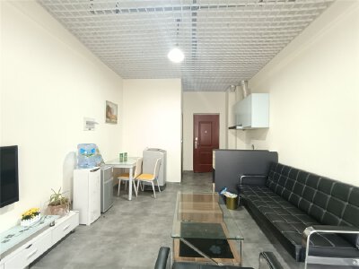 万达SOHO，53.00㎡，精装，租金1000.00元/月
