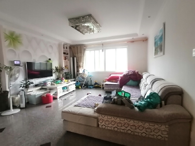 南河坝片区 富绅南河公寓三房