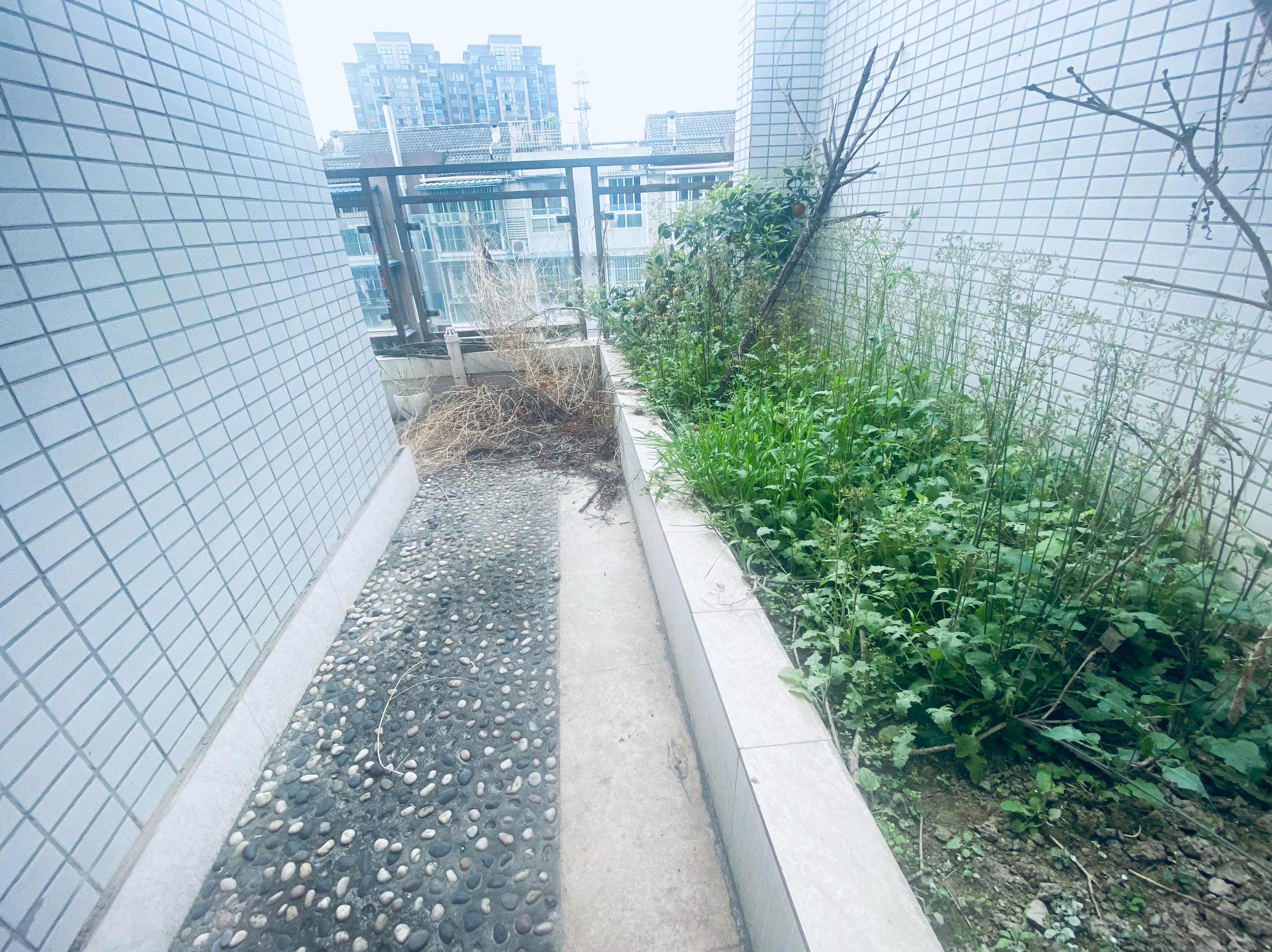 绵阳经开区 自由心岸3房100万 绵阳二手房
