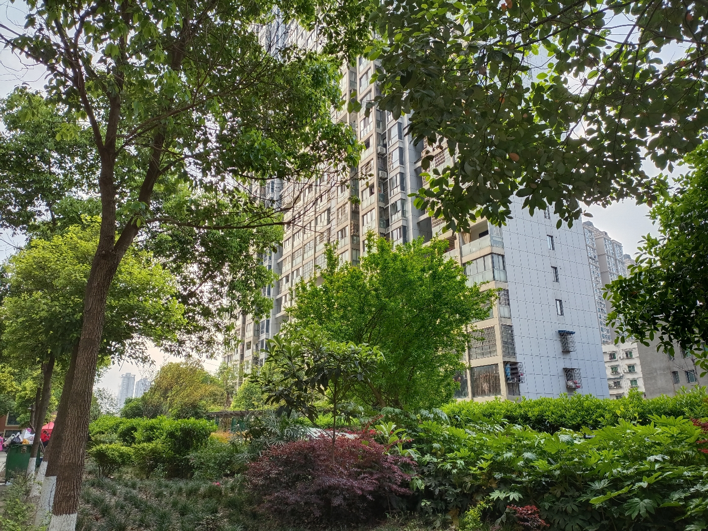 绵阳404片区 滨江世纪花园三房107.6万 绵阳二手房
