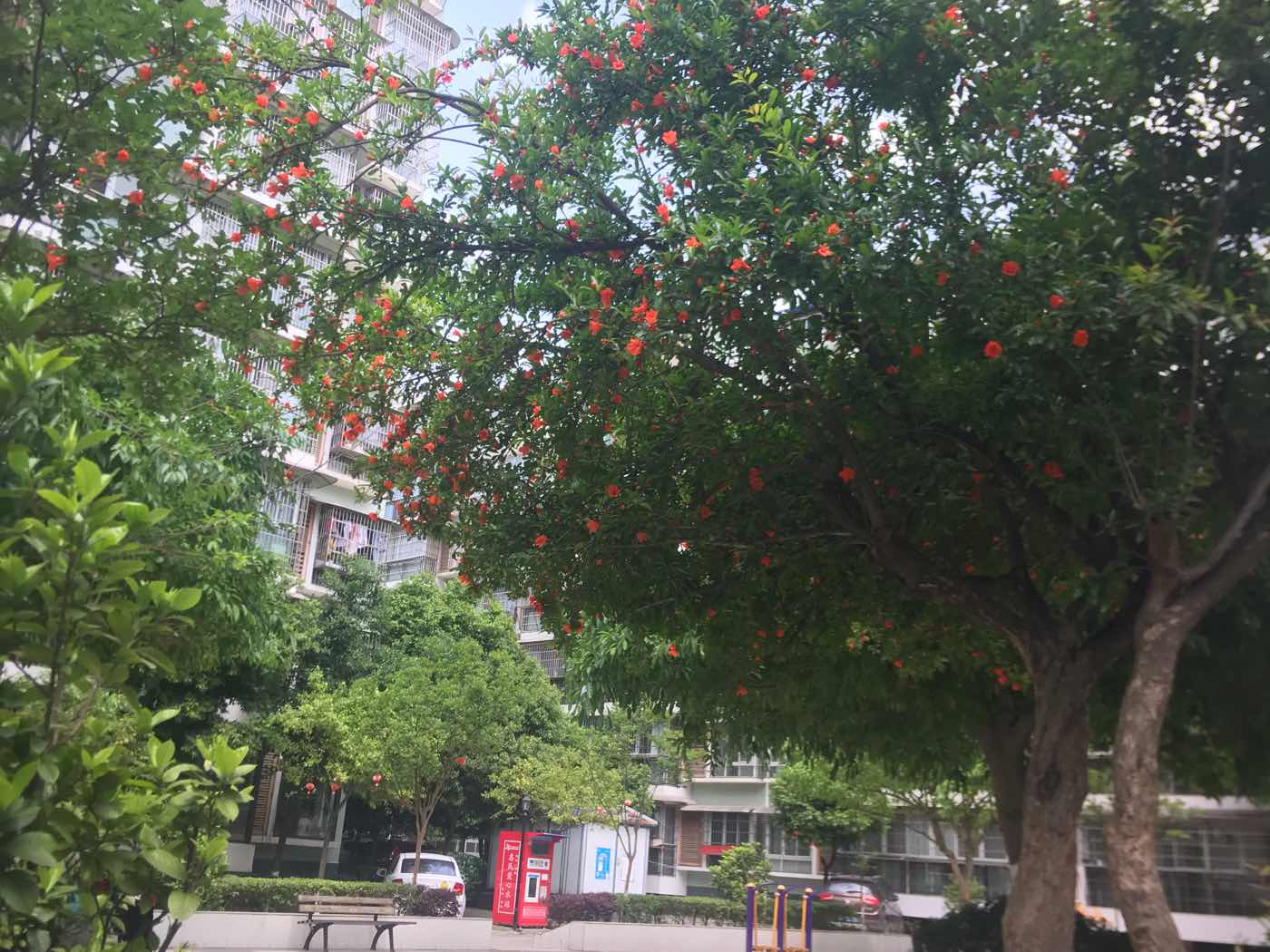 绵阳丰谷片区 钧一嘉园两房44万 绵阳二手房
