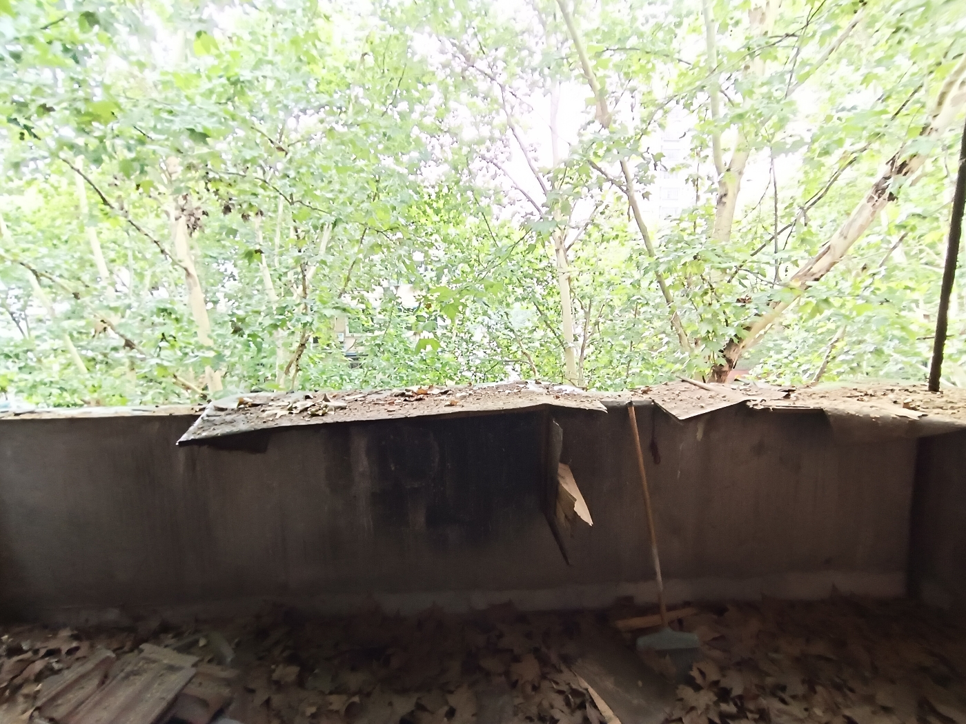 绵阳涪城区 丝厂单位房2房28万 绵阳二手房