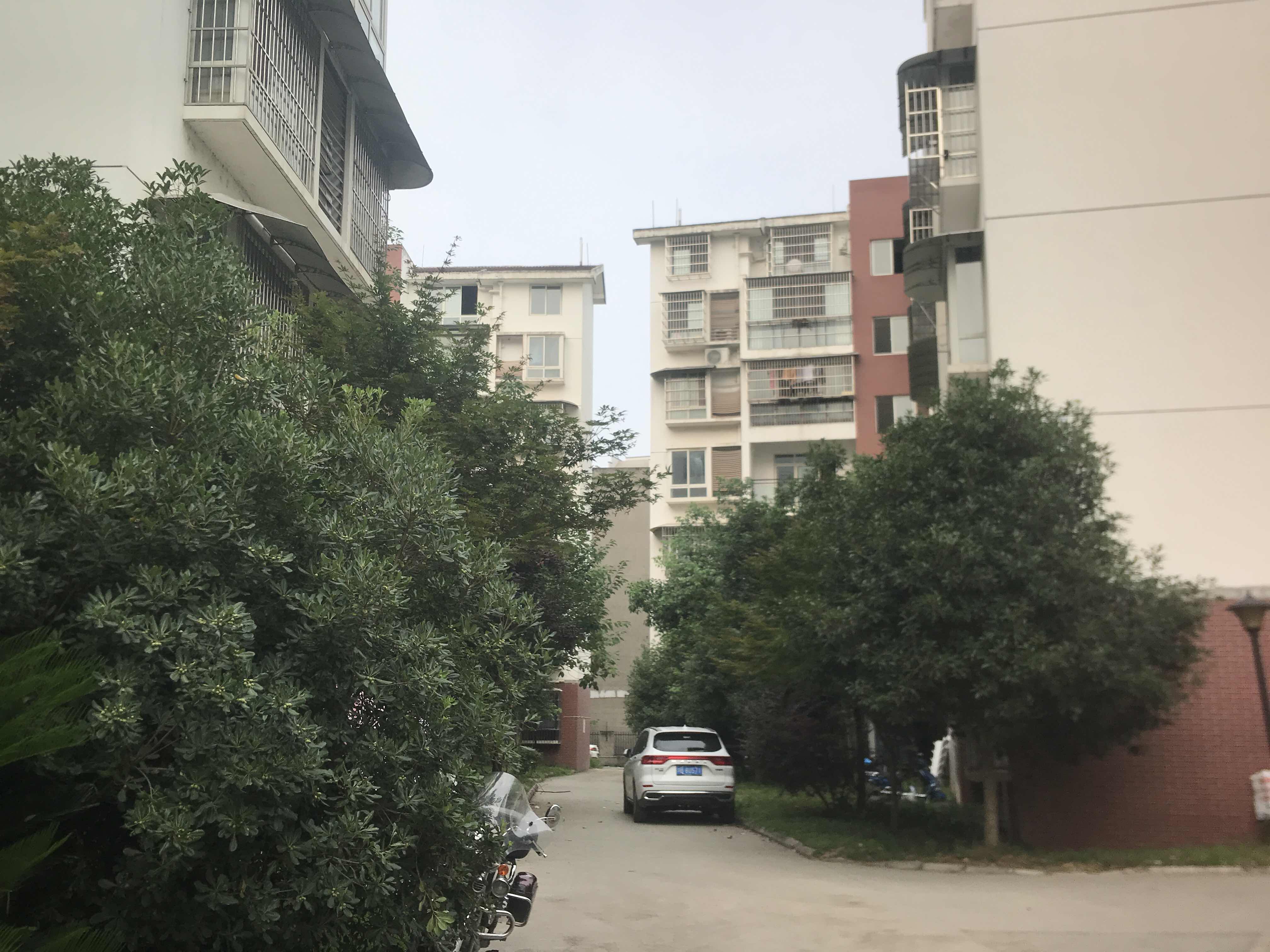 绵阳丰谷上城，2室2厅1卫，78.54㎡，简装，售价35.00万 绵阳二手房