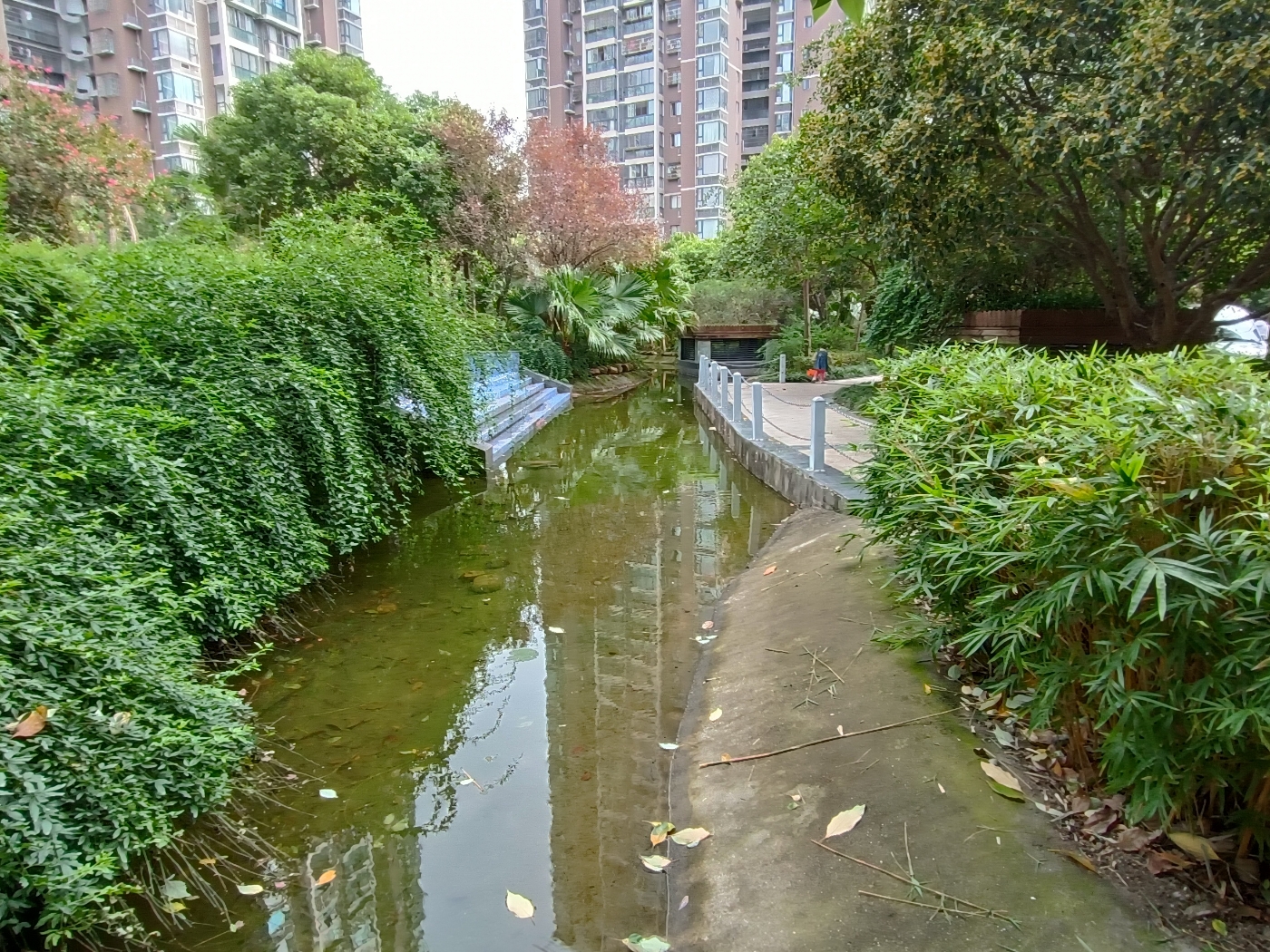 绵阳高新区 人和天地3房2300元/月 绵阳租房