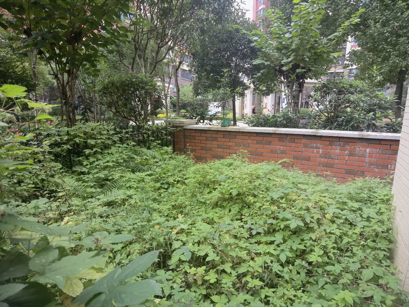 绵阳洋房跃两层+前后花园+花园入户+全落地窗 绵阳二手房