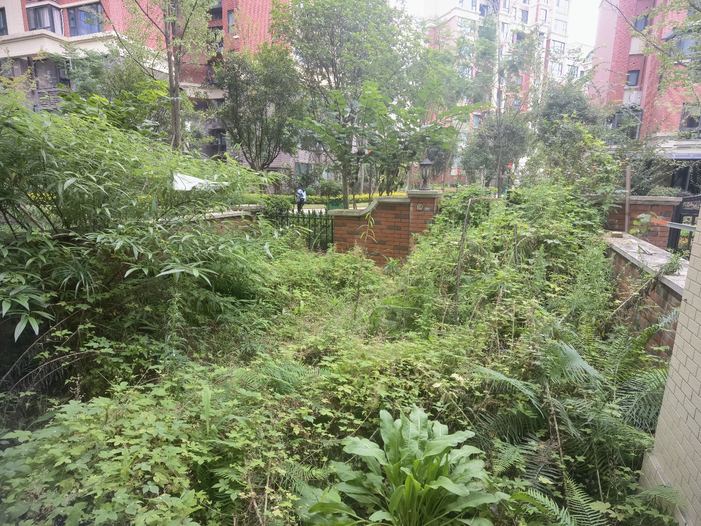 绵阳洋房跃两层+前后花园+花园入户+全落地窗 绵阳二手房
