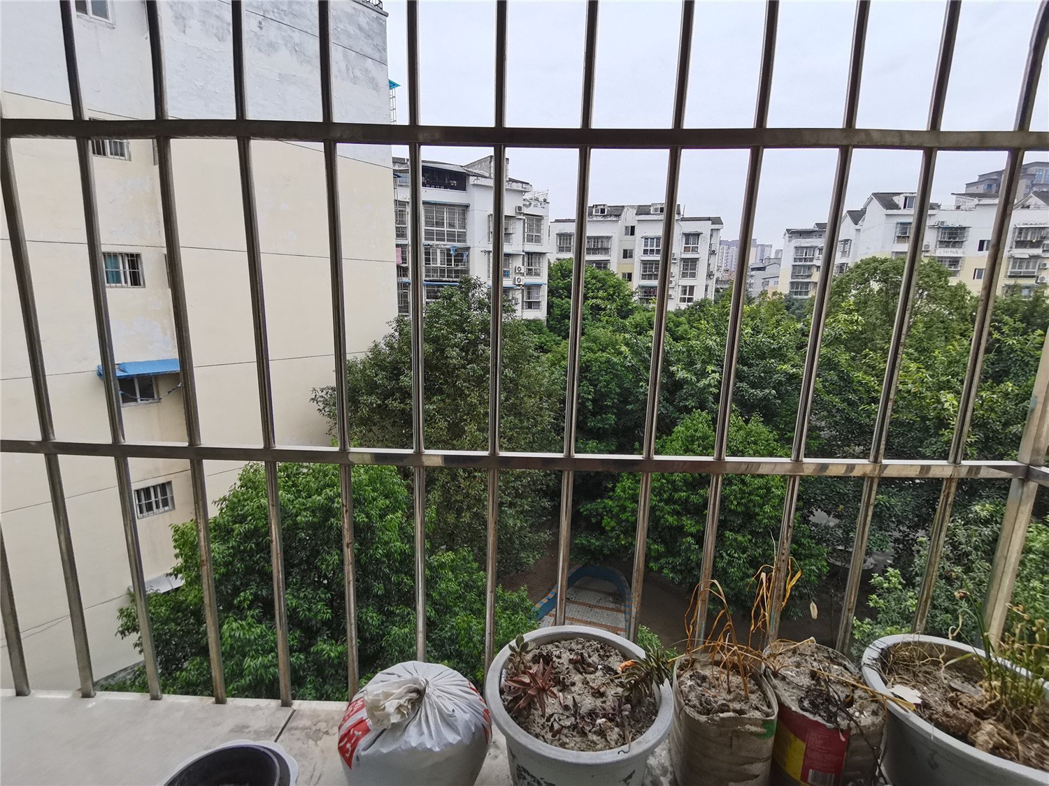 绵阳 绵阳二手房