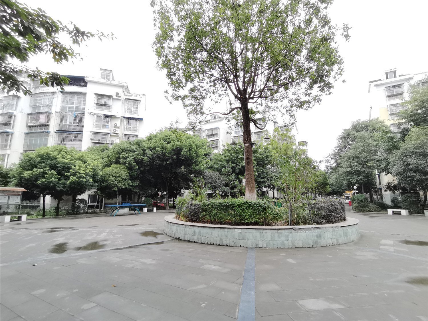 绵阳 绵阳二手房