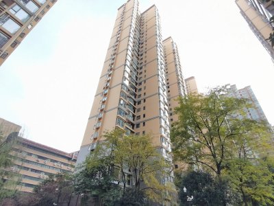 长虹国际城一期