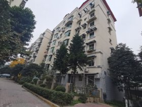 三汇绿湾春