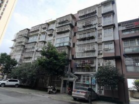 自由心岸