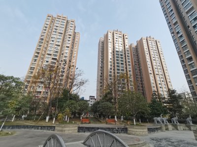 铂金时代