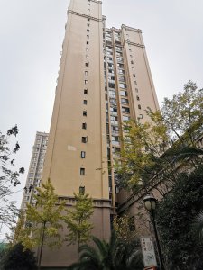 圣鼎巴洛克