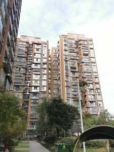 润森加州阳光