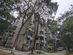 长虹电源小区