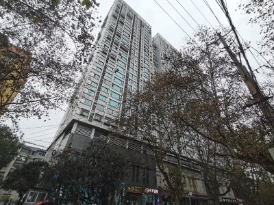 先锋国际