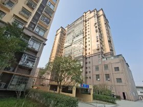 伟腾西雅图