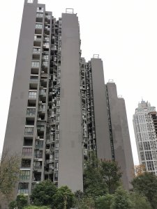 芙蓉世纪阳光