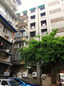 红星街21号院