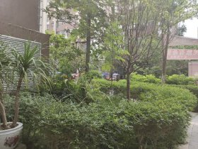 东城尚都