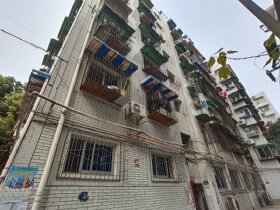 顺河中街1号院