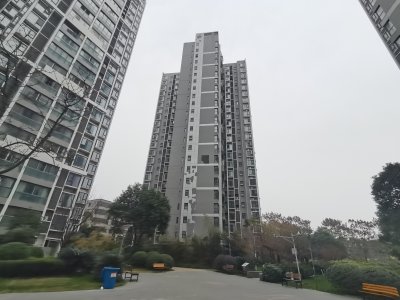 绵阳长虹世纪城一期